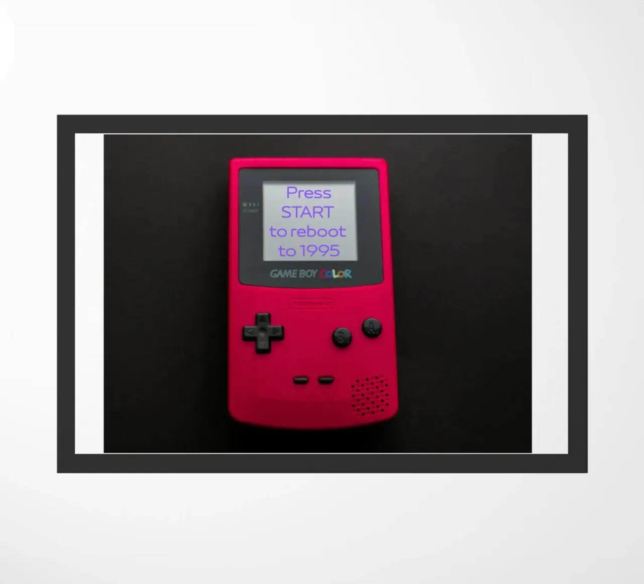 Nel 1995 zerbino da cashorcrash