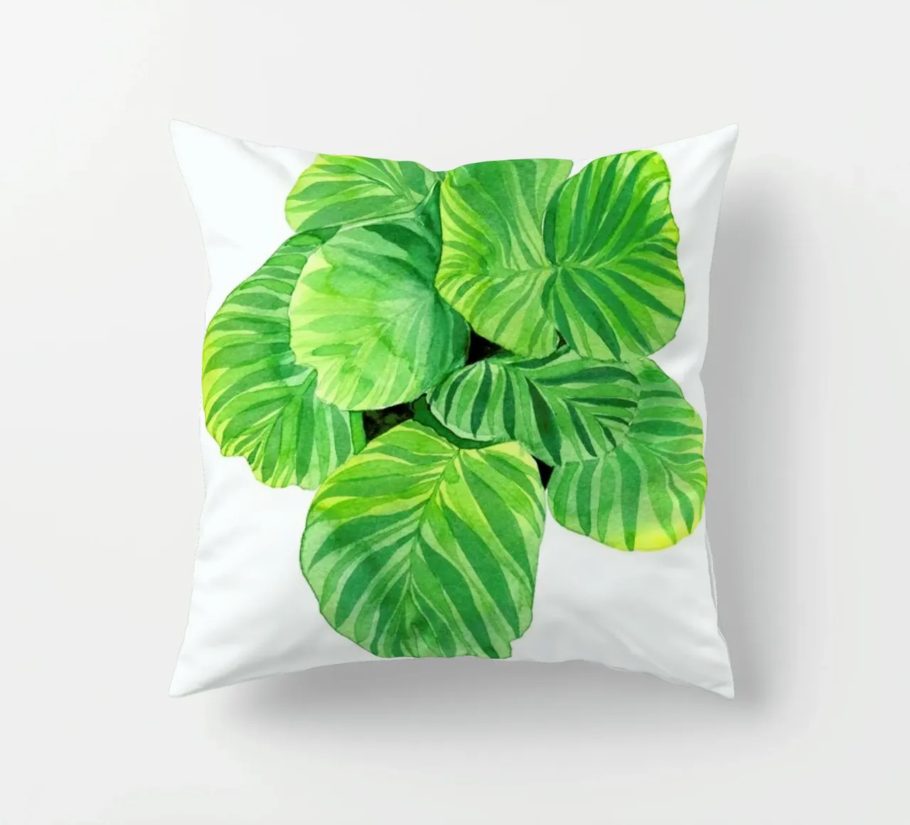 Calathea cuscino da youdesignme