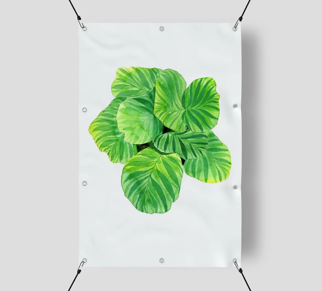 Calathea telo in pvc da youdesignme
