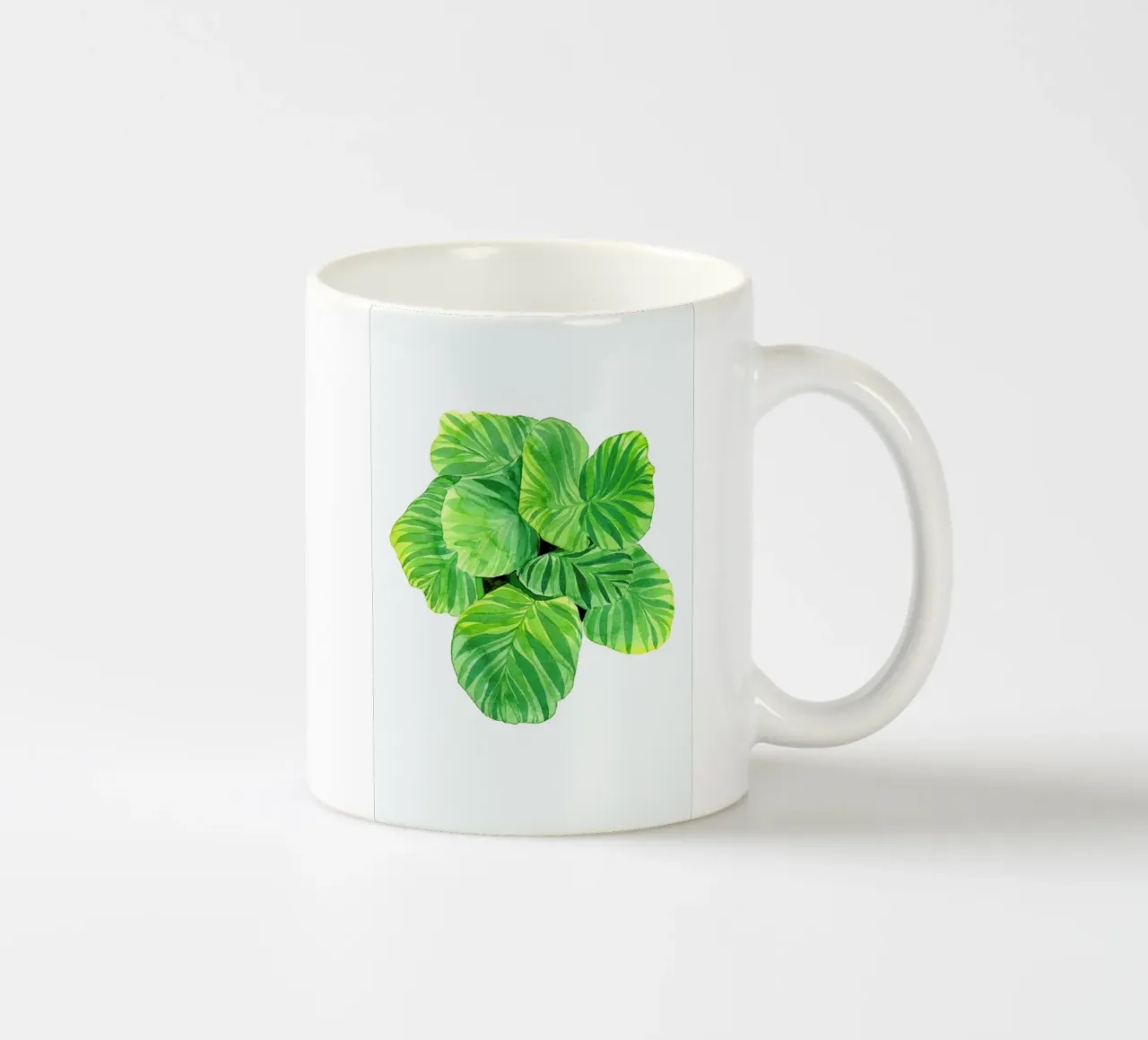 Calathea tazza in ceramica da youdesignme