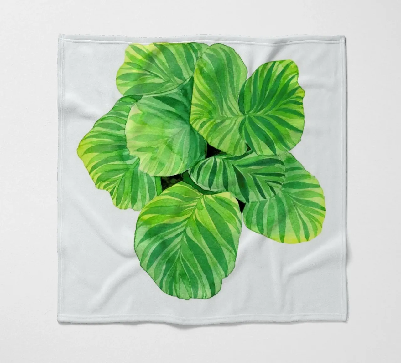 Calathea coperta in pile da youdesignme