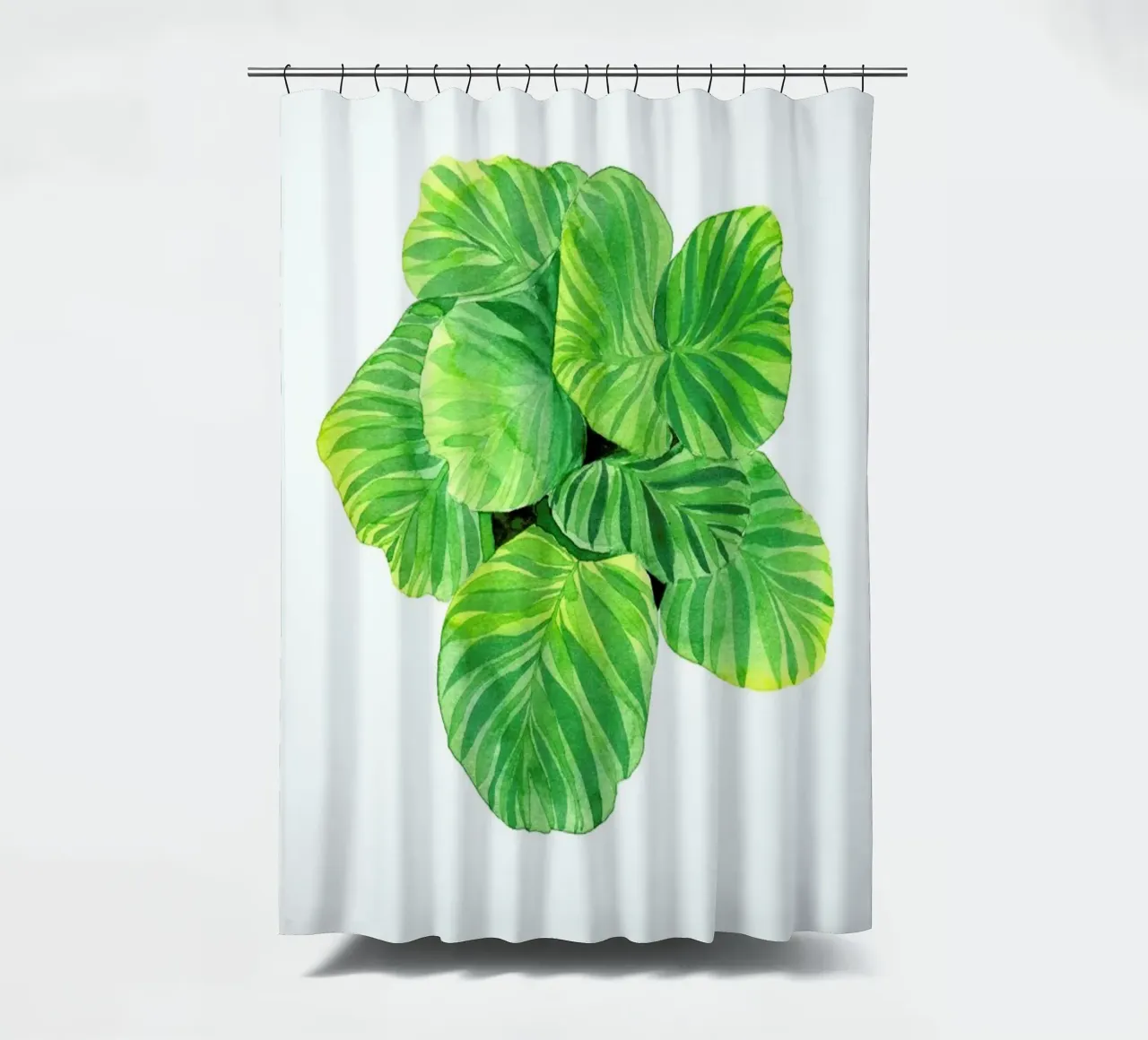 Calathea tenda da doccia da youdesignme