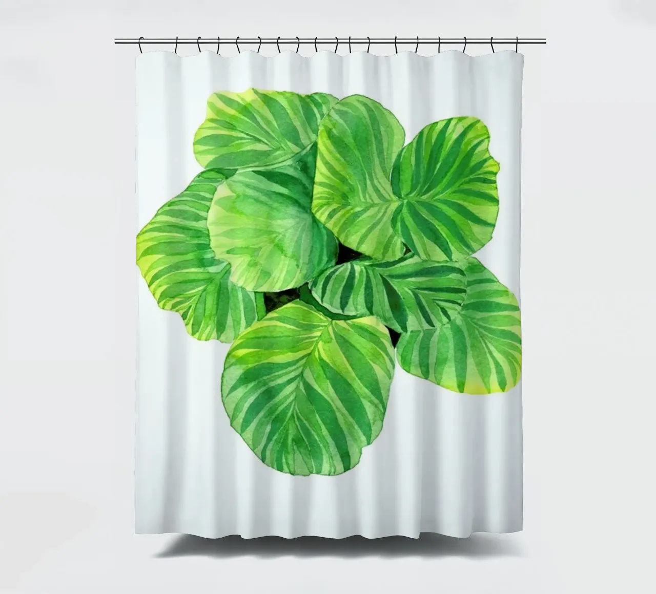 Calathea tenda da doccia da youdesignme