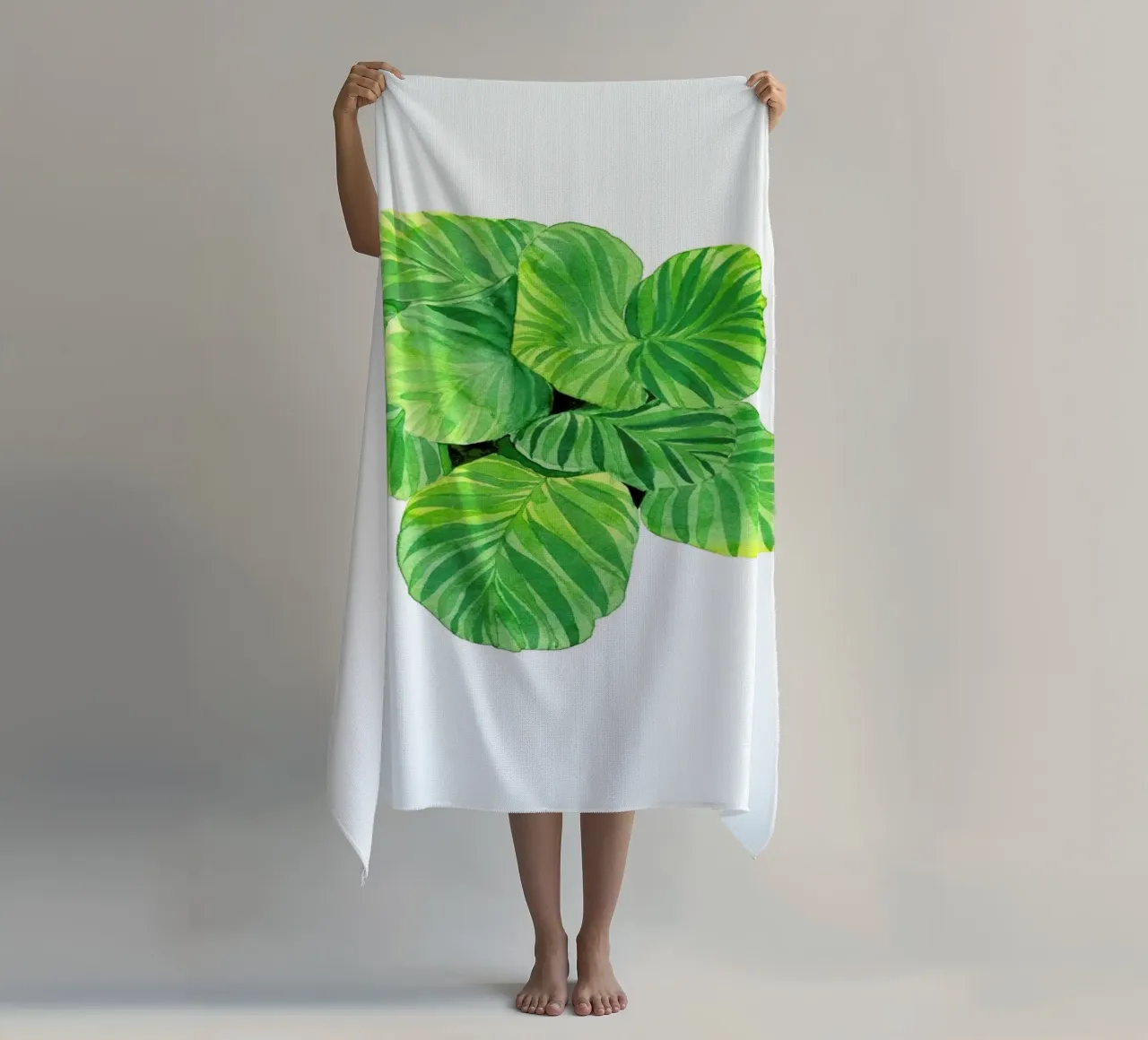 Calathea telo mare da youdesignme