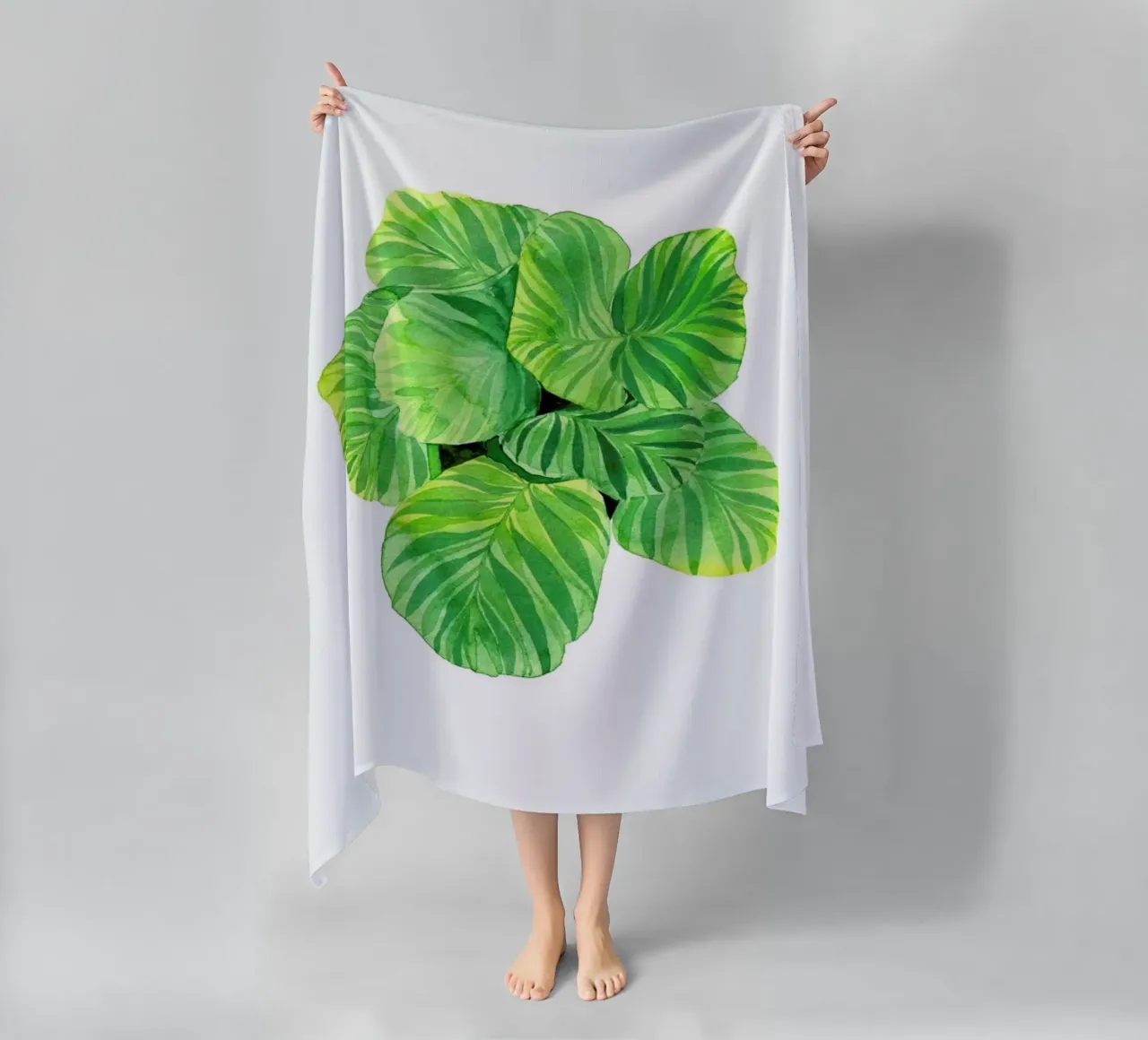 Calathea telo mare da youdesignme