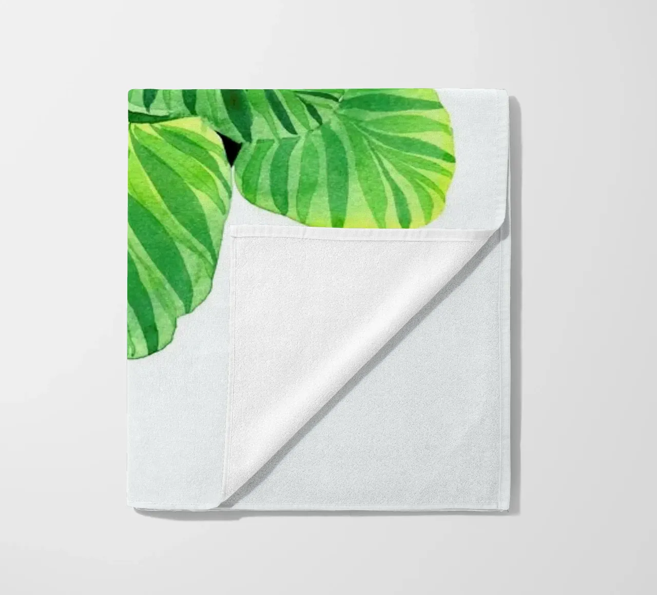 Calathea telo mare da youdesignme