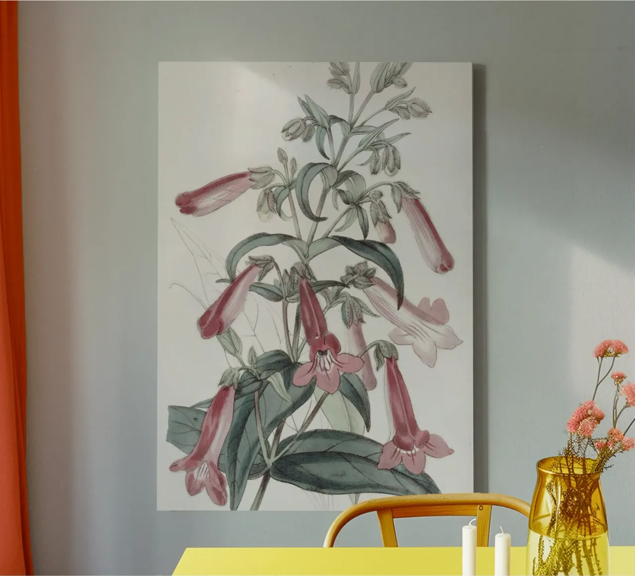 Botanische kunst: Penstemon Elegance Bloemenprint canvas met Baklijst van ClubArt