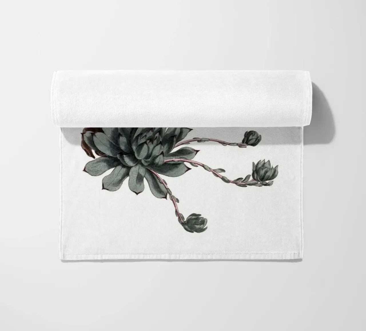 S. Edwards Botanical: Sempervivum Succulent (1801) Print strandhanddoek van ClubArt
