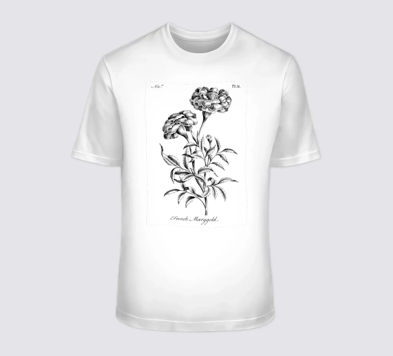 Incisione botanica d'epoca: Fiore di calendula francese t-shirt da ClubArt