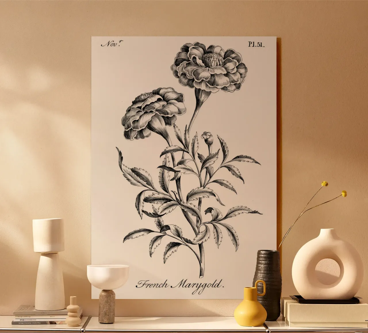Incisione botanica d'epoca: Fiore di calendula francese alluminio dibond da ClubArt