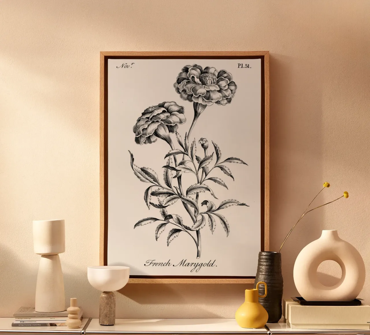 Incisione botanica d'epoca: Fiore di calendula francese tela con Cornice a cassetta da ClubArt