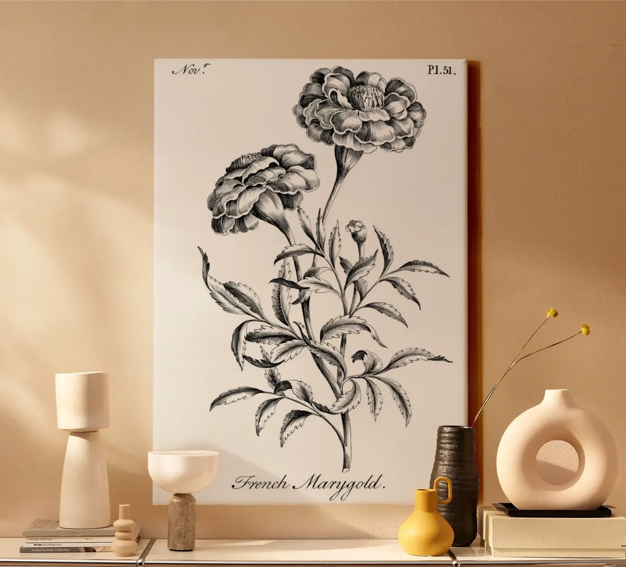 Incisione botanica d'epoca: Fiore di calendula francese tela con Cornice a cassetta da ClubArt