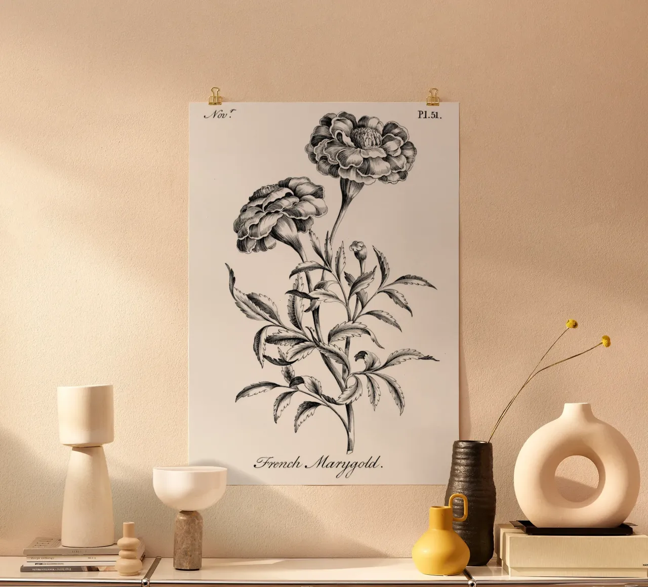 Incisione botanica d'epoca: Fiore di calendula francese poster con telaio in plastica da ClubArt