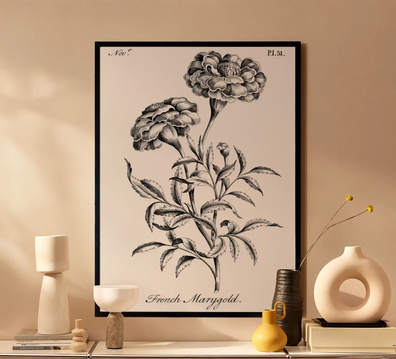 Incisione botanica d'epoca: Fiore di calendula francese poster con telaio in plastica da ClubArt