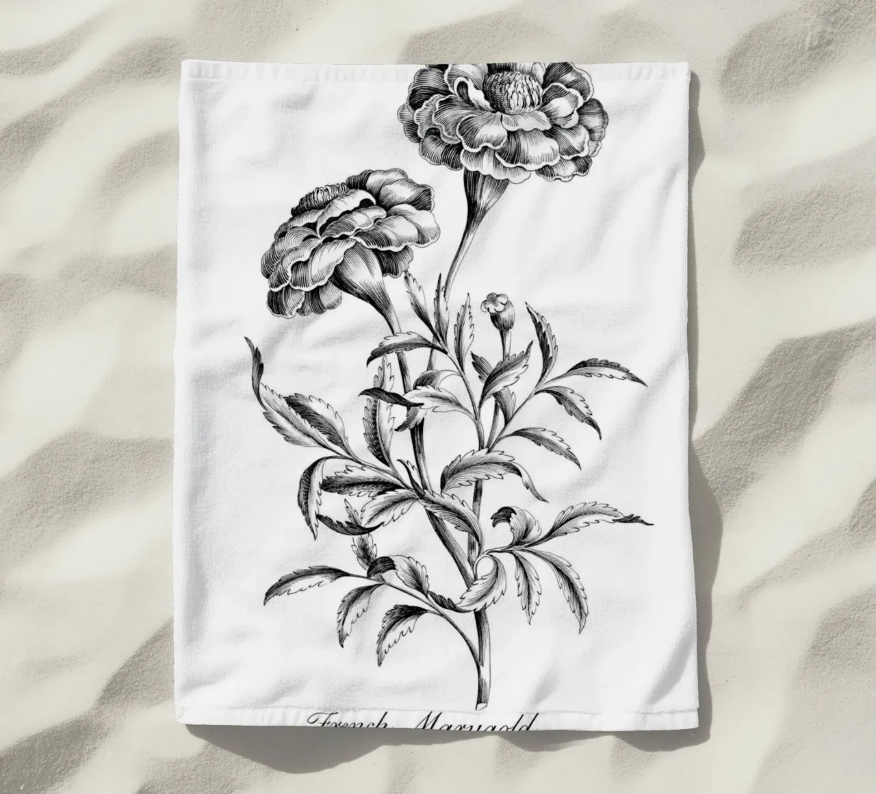 Incisione botanica d'epoca: Fiore di calendula francese telo mare da ClubArt