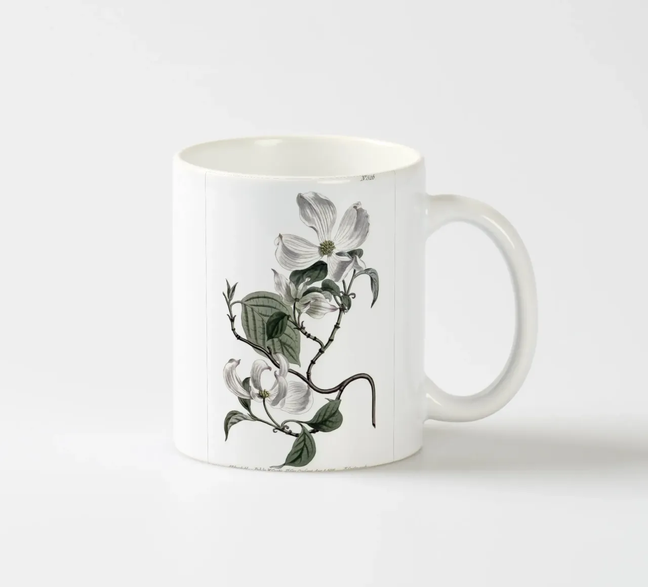 S. Edwards Botanical: Ramo di corniolo in fiore (1801) tazza in ceramica da ClubArt