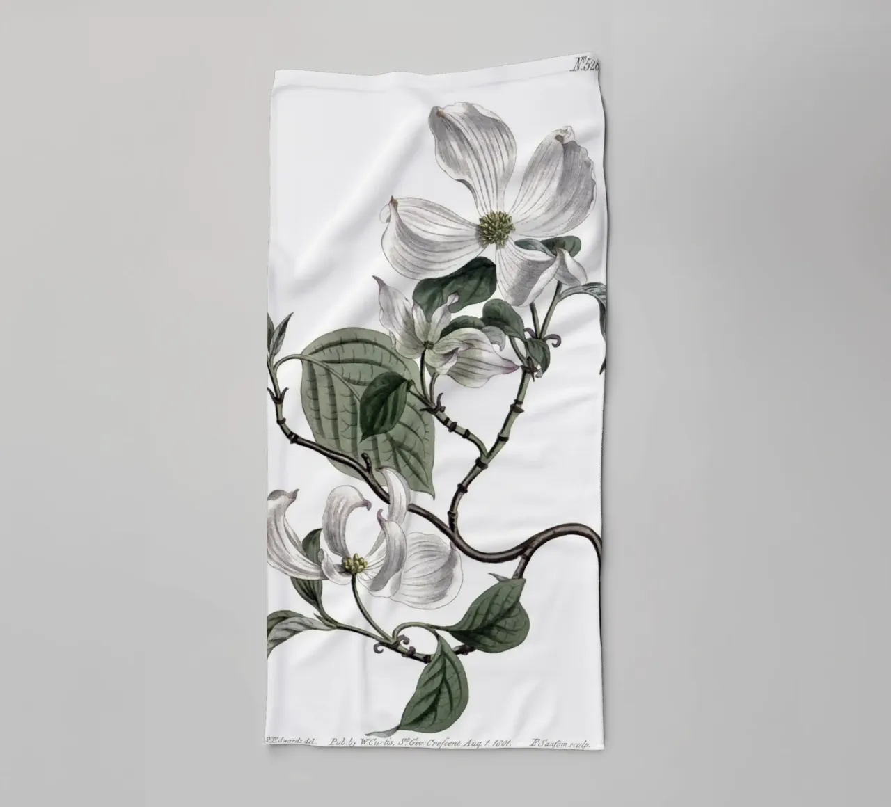 S. Edwards Botanical: Ramo di corniolo in fiore (1801) asciugamano da bagno da ClubArt