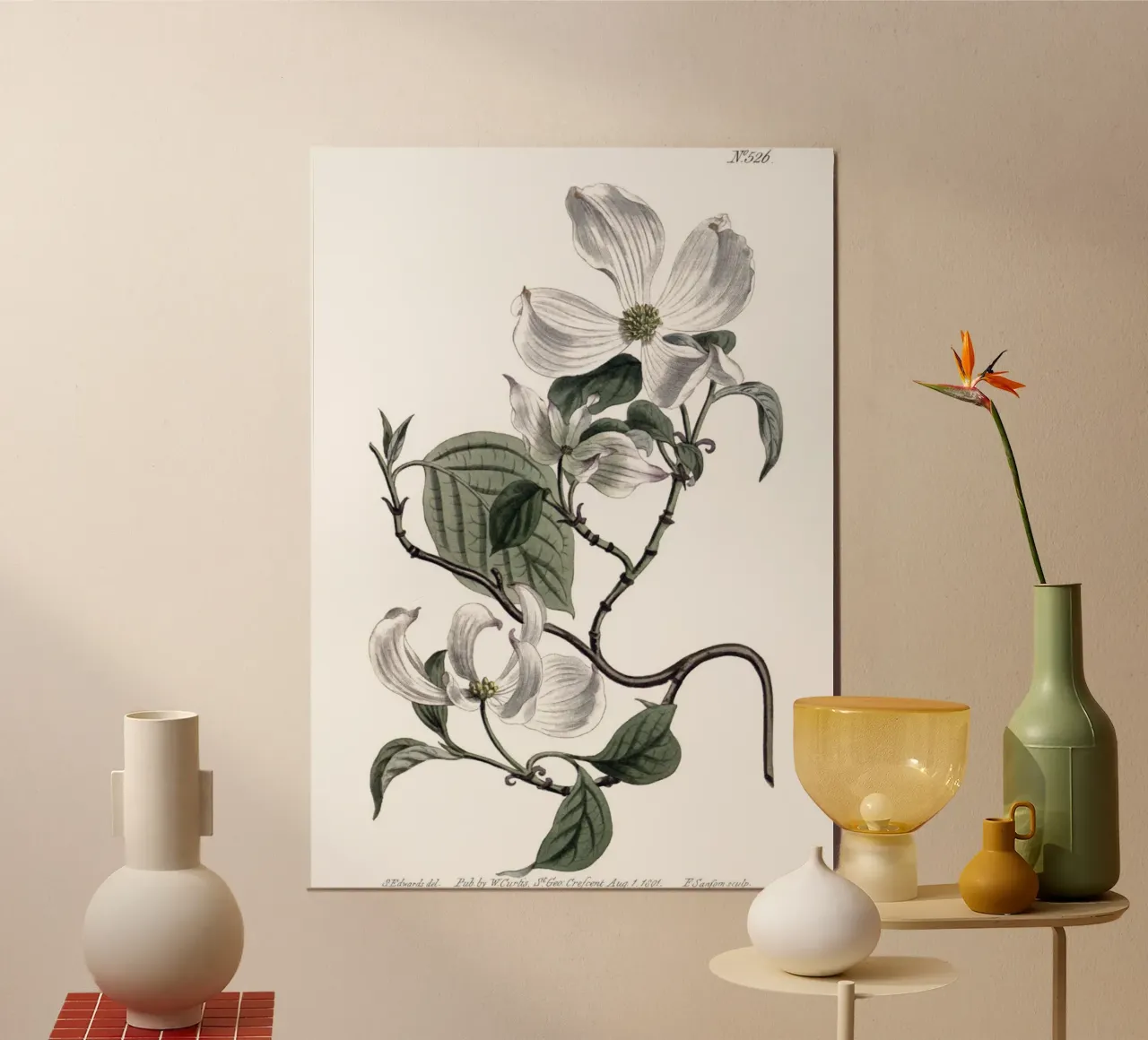 S. Edwards Botanical: Ramo di corniolo in fiore (1801) carta hahnemühle da ClubArt