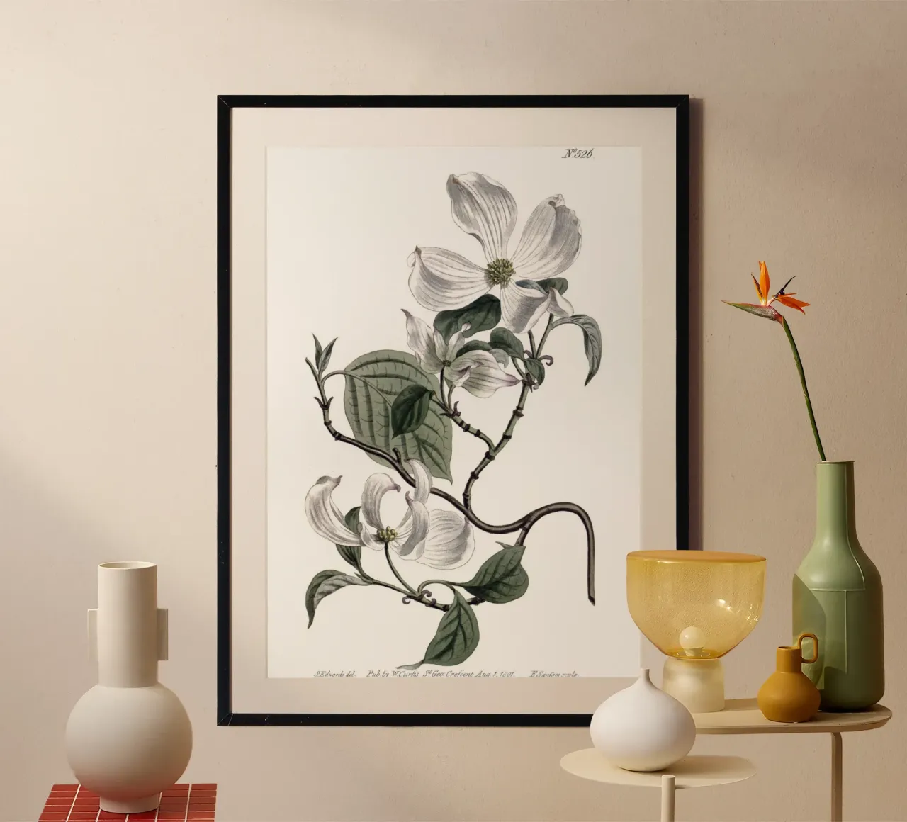 S. Edwards Botanical: Ramo di corniolo in fiore (1801) carta hahnemühle da ClubArt