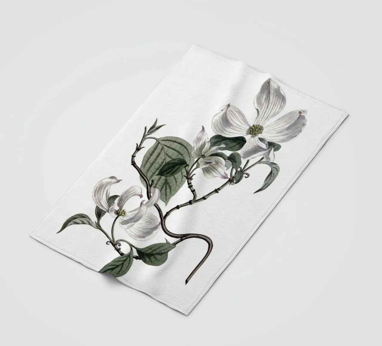 S. Edwards Botanical: Ramo di corniolo in fiore (1801) coperta in pile da ClubArt