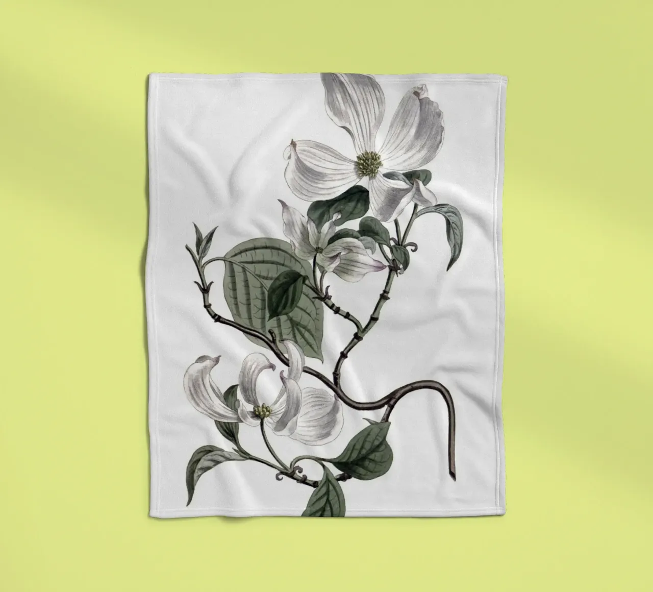S. Edwards Botanical: Ramo di corniolo in fiore (1801) coperta in pile da ClubArt