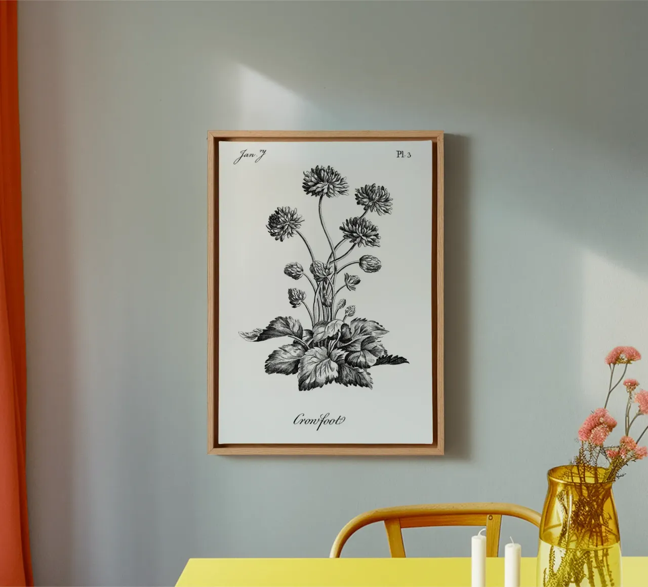 Incisione botanica d'epoca: Fiore "piede di porco" (gennaio '7) tela con Cornice a cassetta da ClubArt