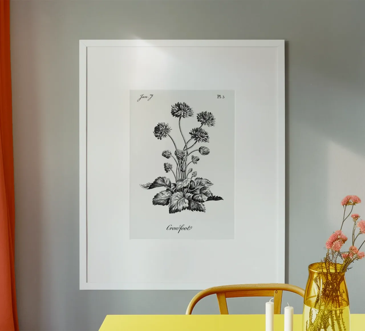 Incisione botanica d'epoca: Fiore "piede di porco" (gennaio '7) poster con telaio in plastica da ClubArt