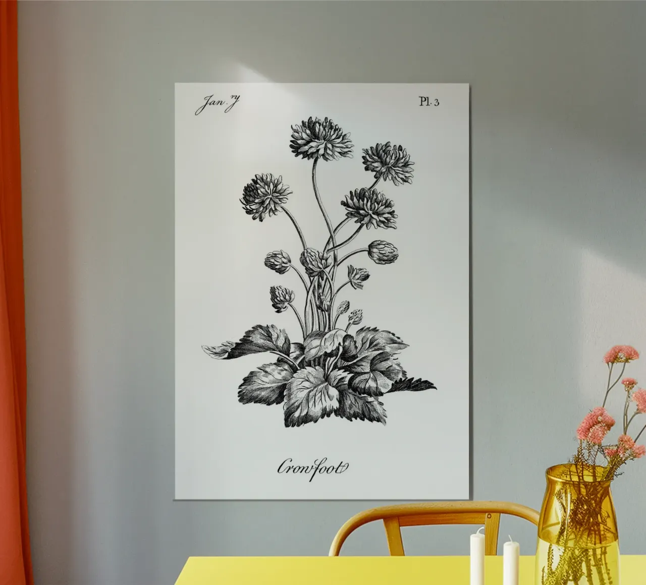 Incisione botanica d'epoca: Fiore "piede di porco" (gennaio '7) poster con telaio in plastica da ClubArt