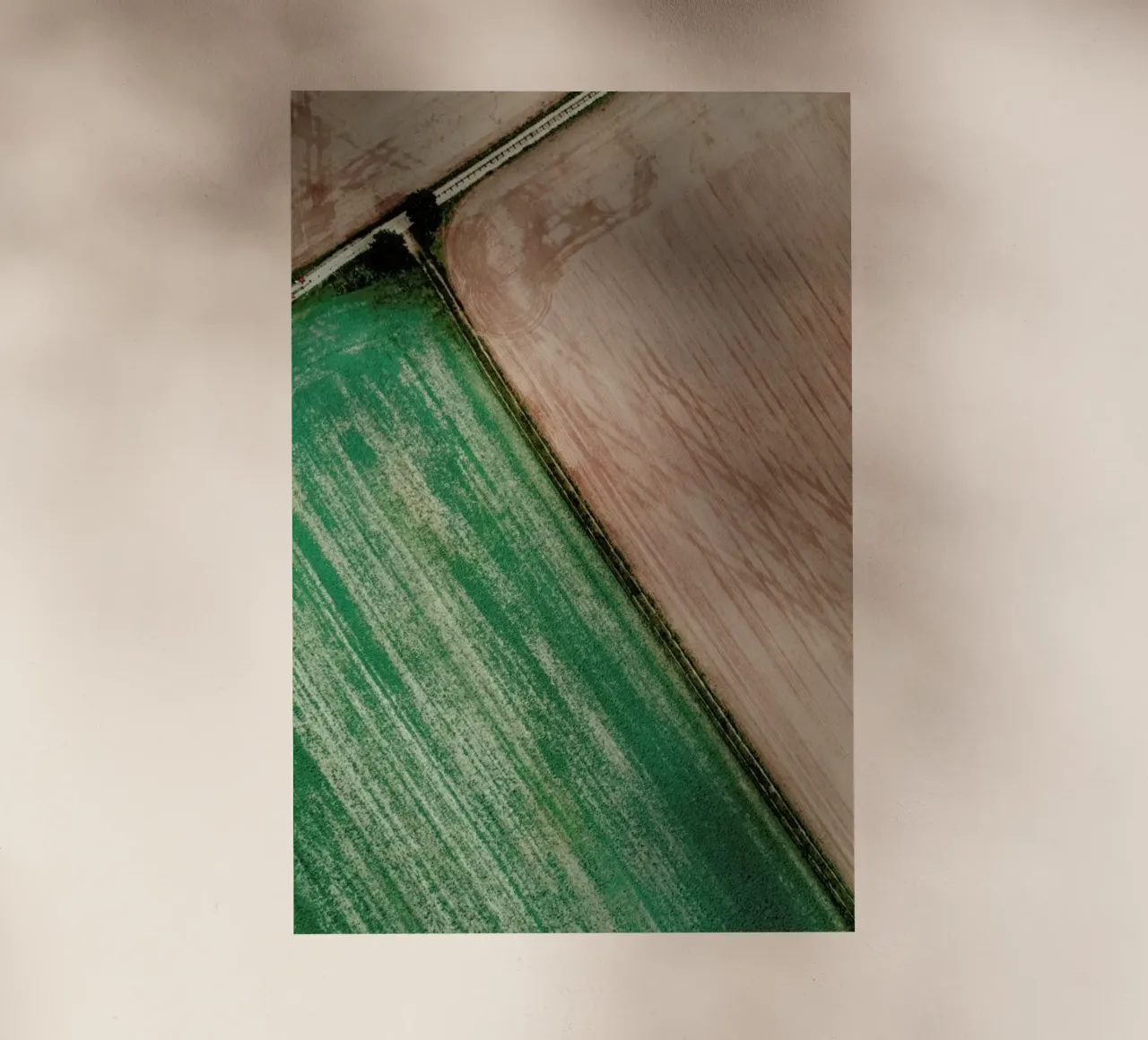 Natrual Pattern II pellicola backlit da Sebastian Hilgetag