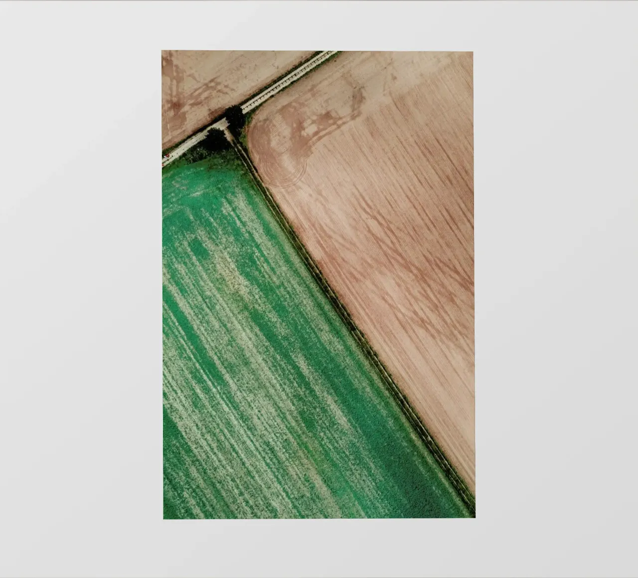 Natrual Pattern II telo in pvc da Sebastian Hilgetag