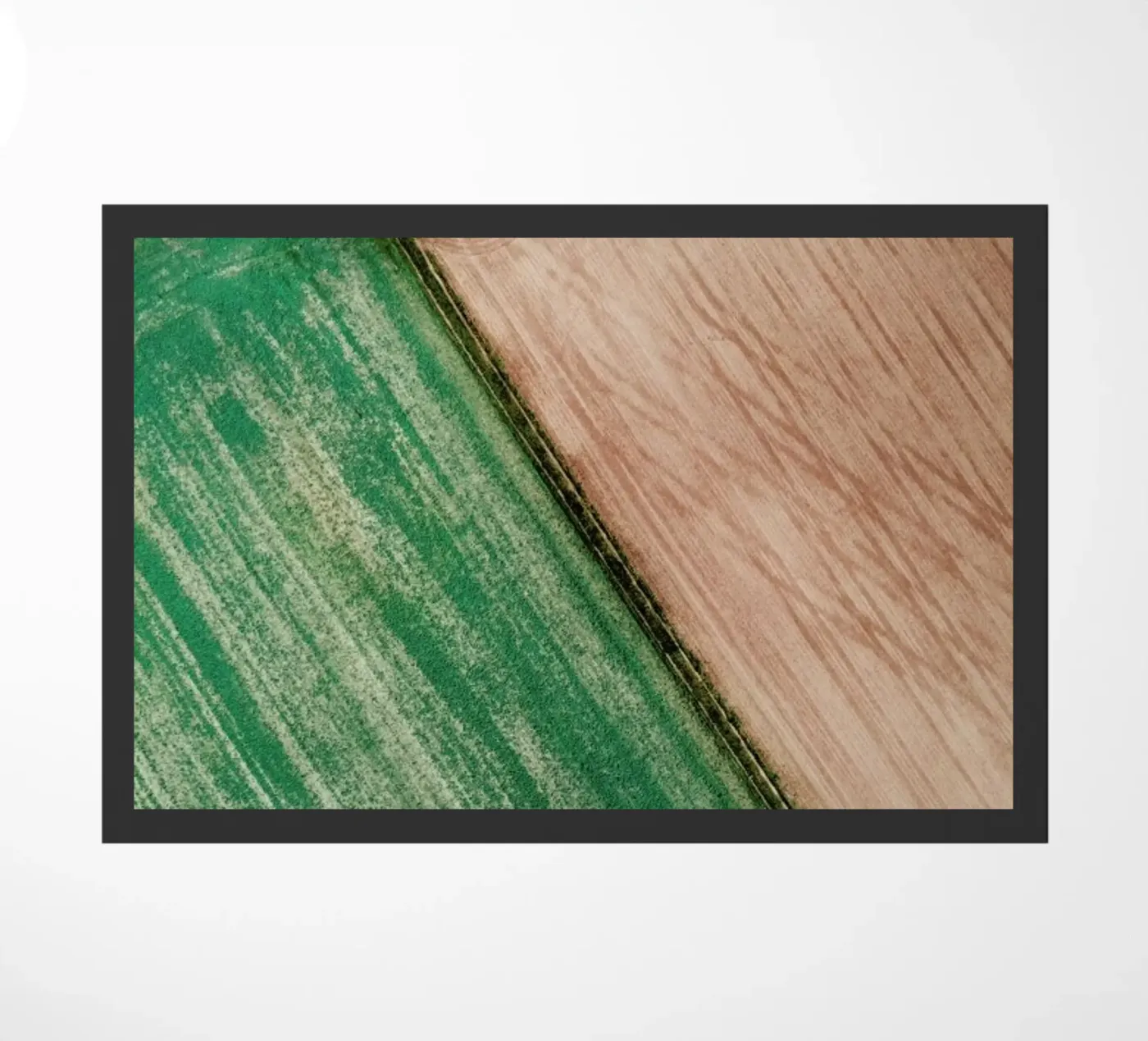 Natrual Pattern II zerbino da Sebastian Hilgetag