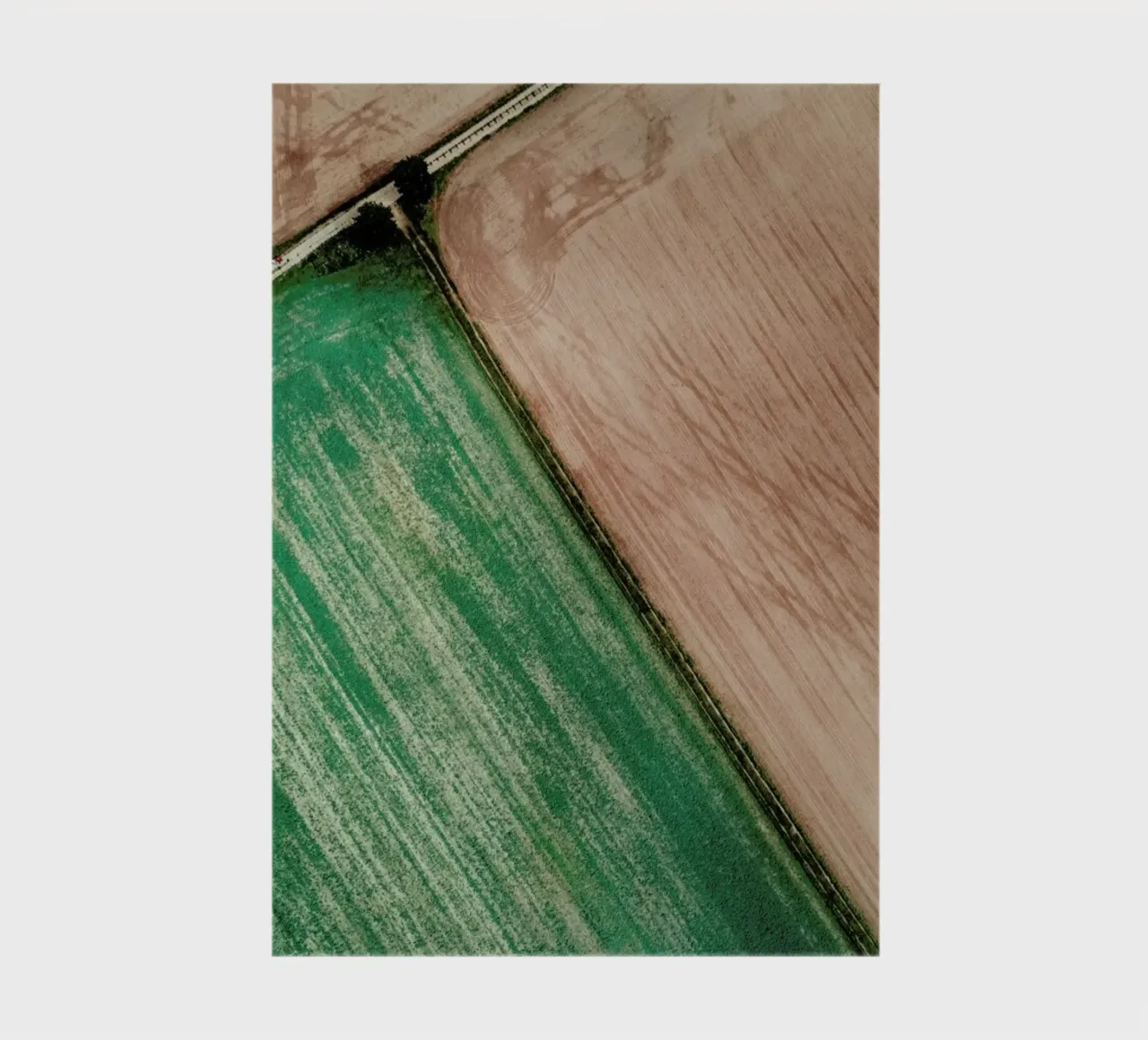Natrual Pattern II notebook by Sebastian Hilgetag