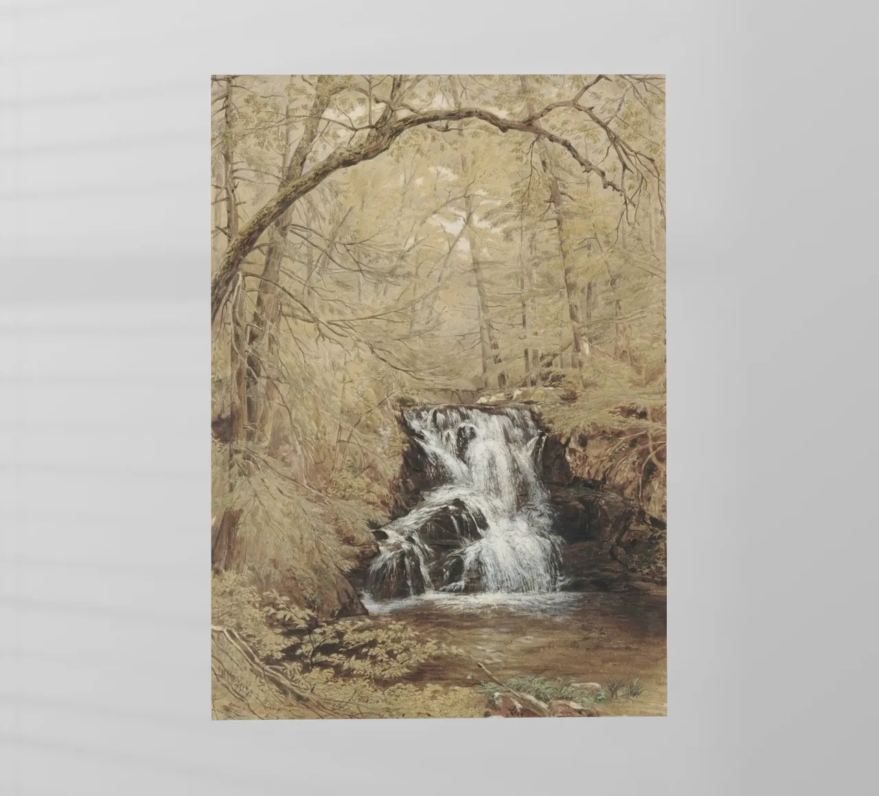 Cascata romantica: Cascata nella foresta e natura selvaggia e serena pellicola backlit da ClubArt