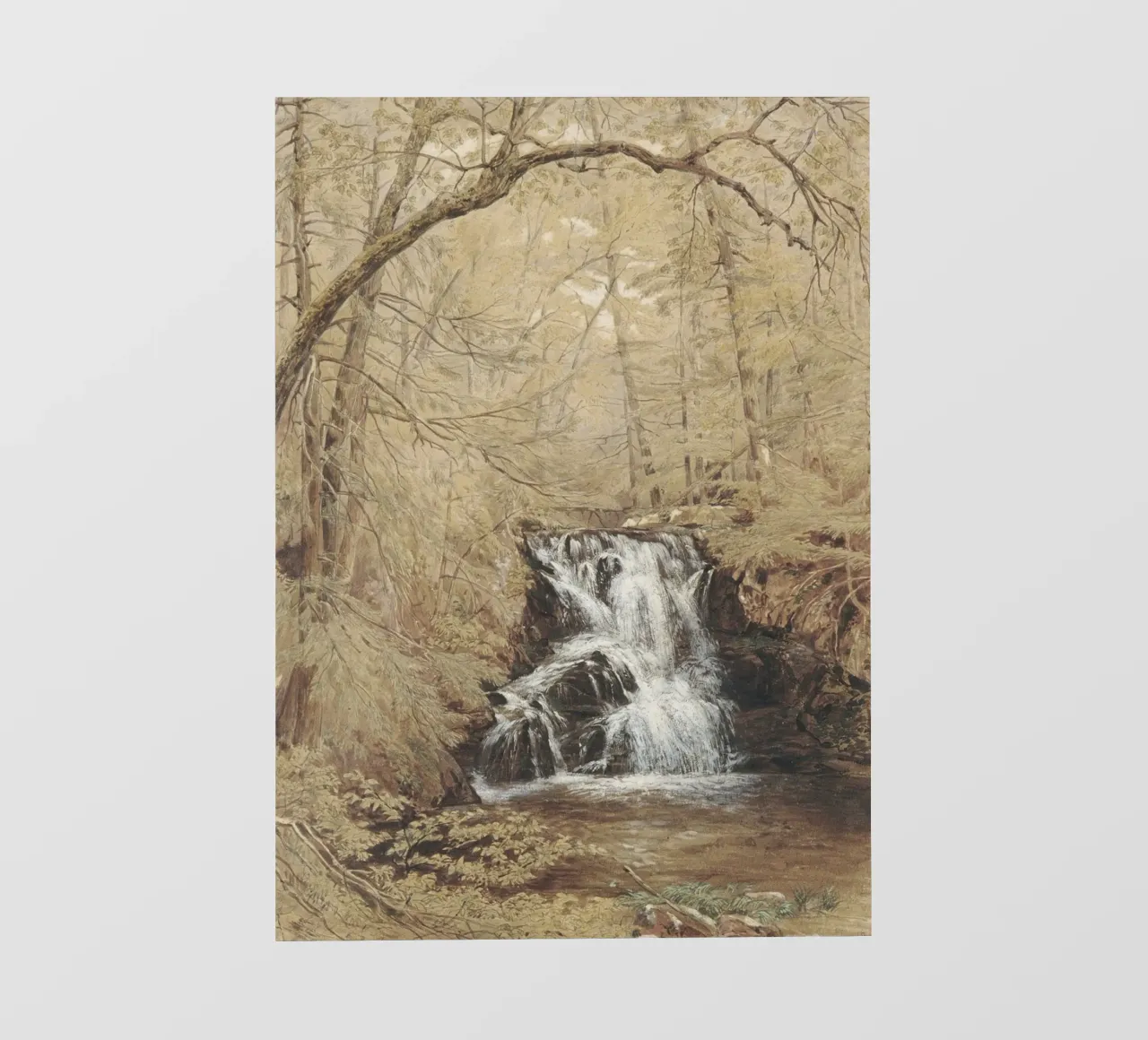 Cascata romantica: Cascata nella foresta e natura selvaggia e serena pellicola backlit da ClubArt