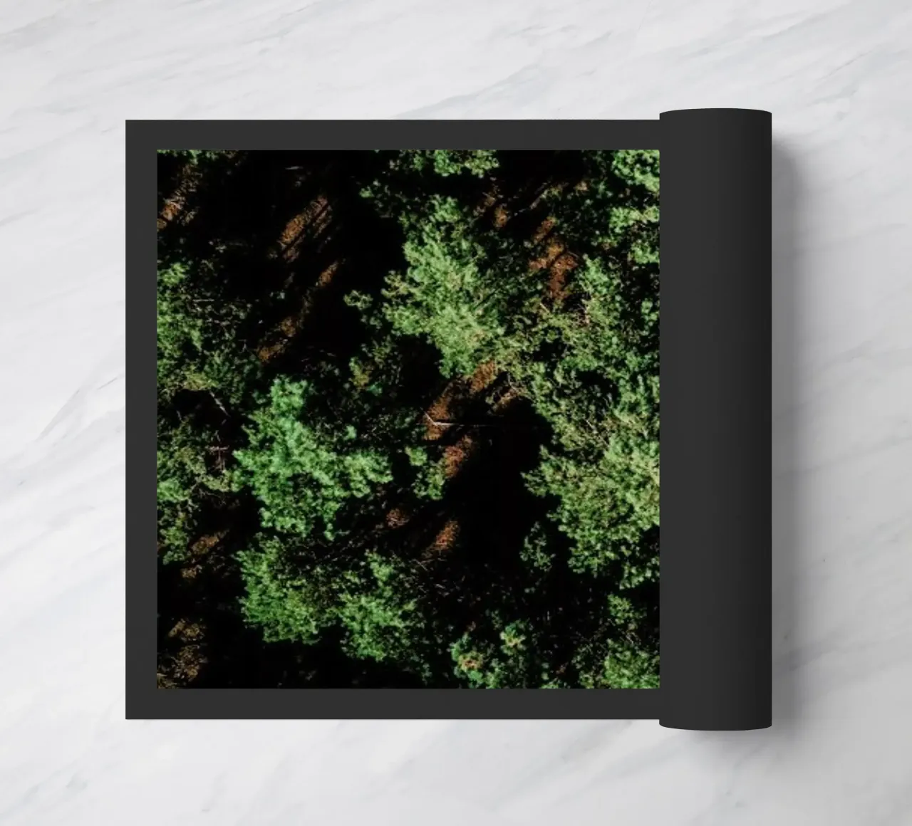 Just A Bunch Of Trees zerbino da Sebastian Hilgetag