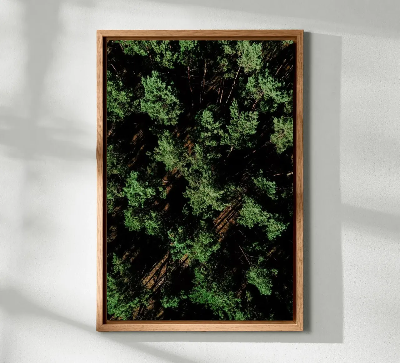 Just A Bunch Of Trees alluminio dibond da Sebastian Hilgetag