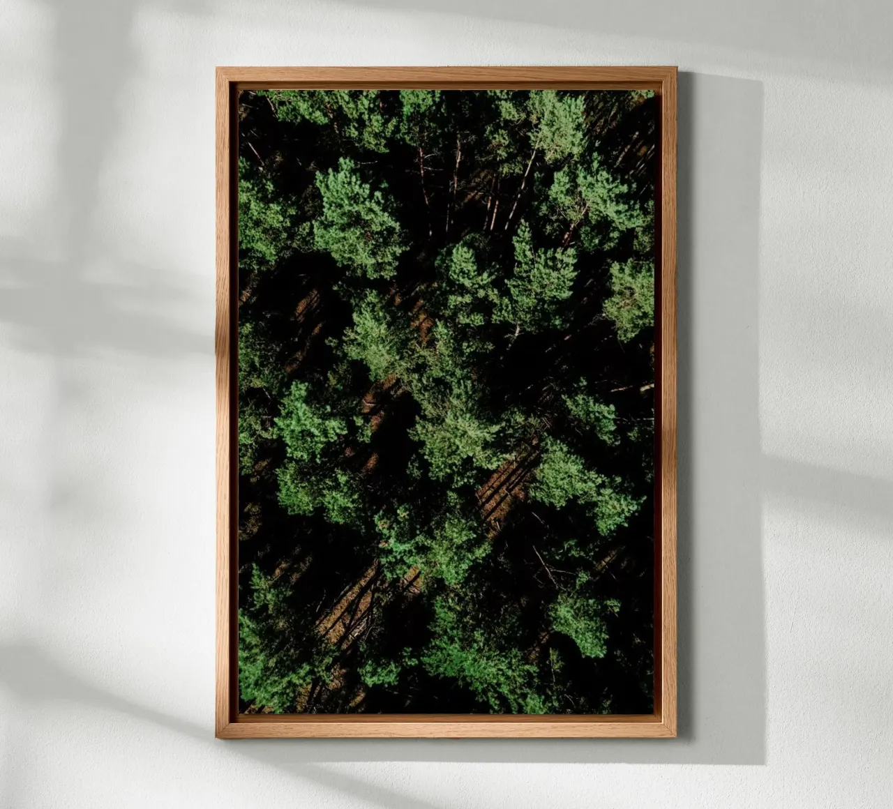 Just A Bunch Of Trees tela con Cornice a cassetta da Sebastian Hilgetag