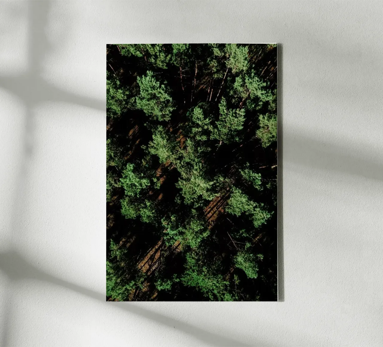 Just A Bunch Of Trees tela con Cornice a cassetta da Sebastian Hilgetag