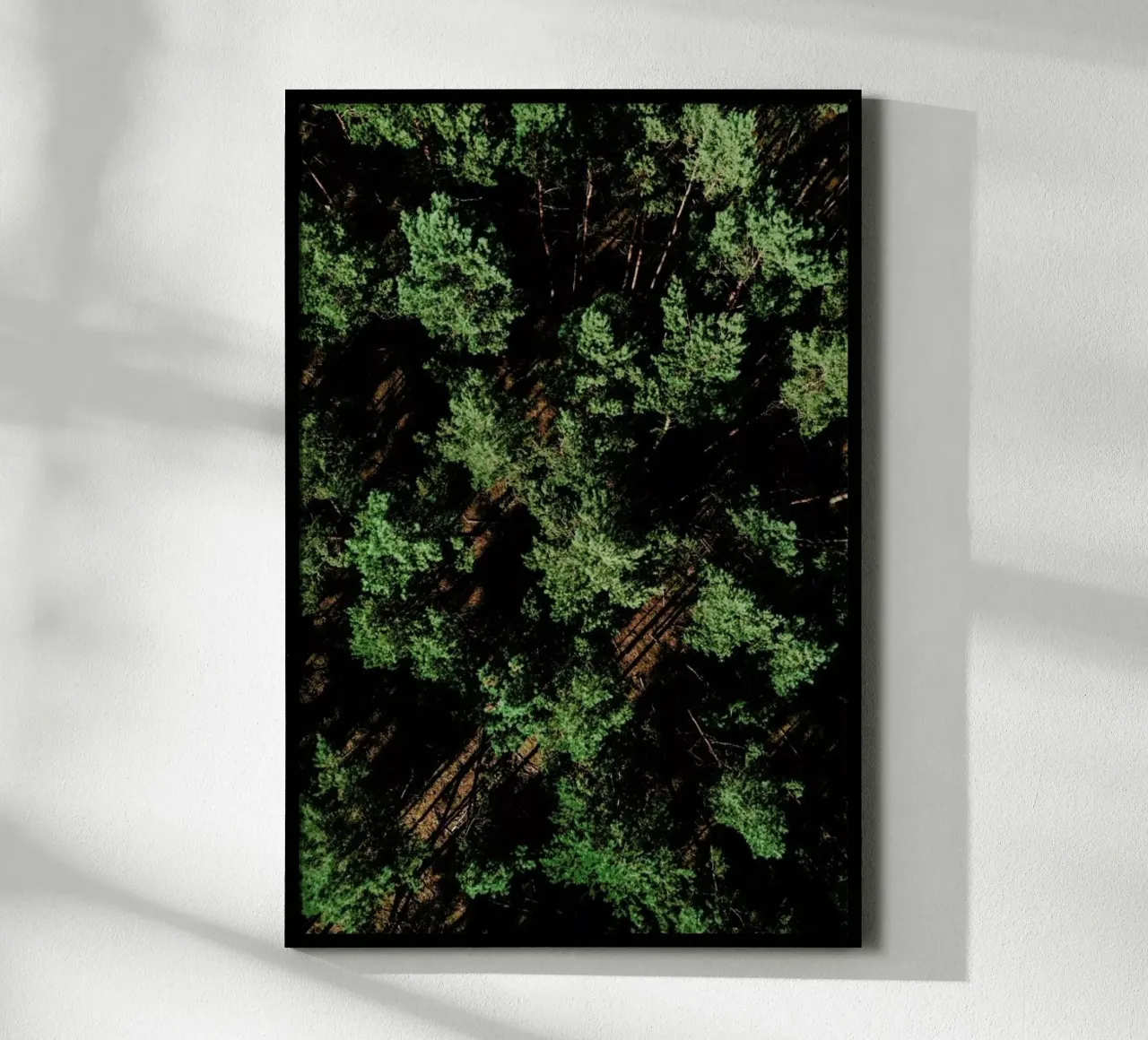 Just A Bunch Of Trees carta hahnemühle da Sebastian Hilgetag