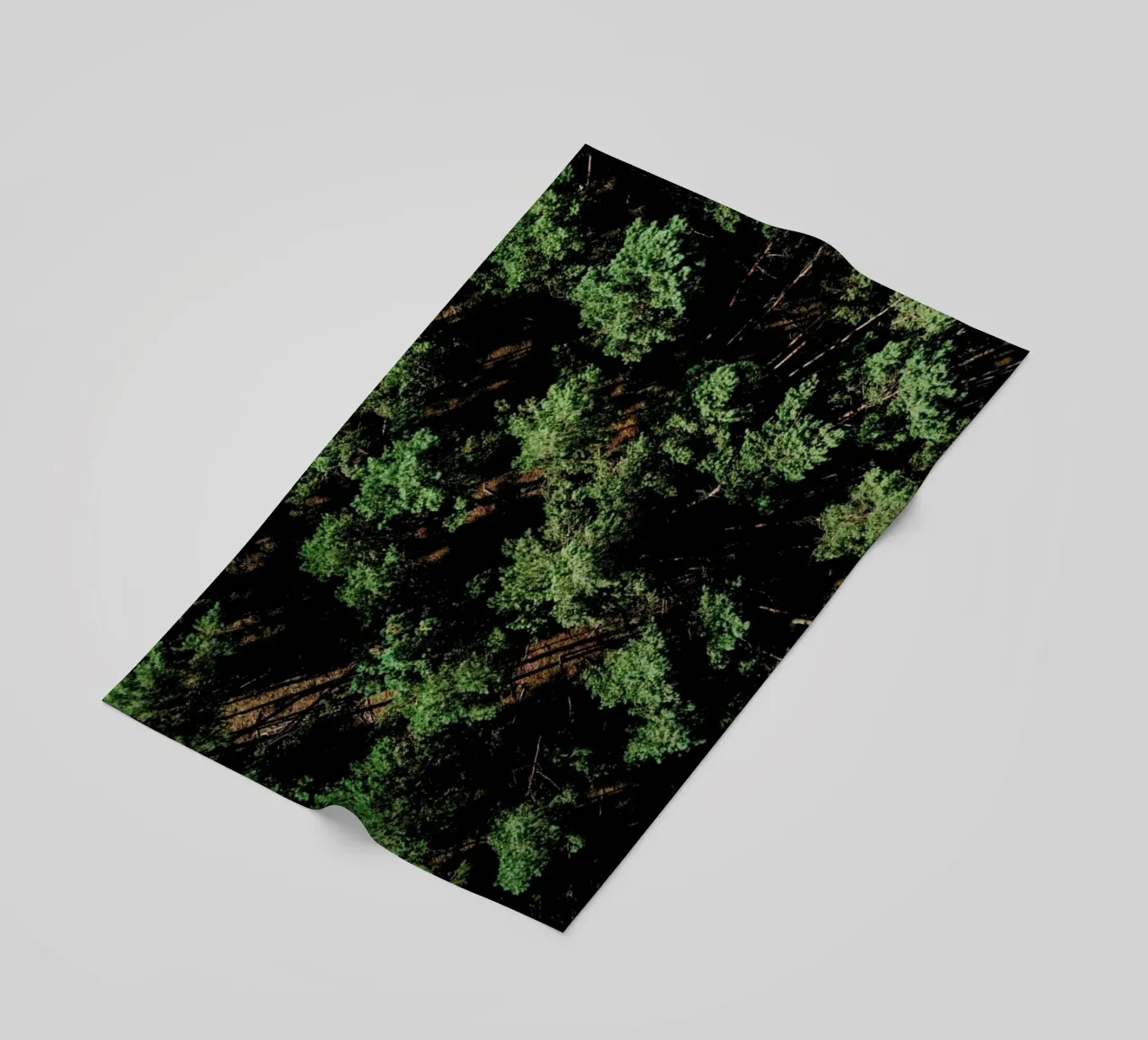 Just A Bunch Of Trees telo mare da Sebastian Hilgetag