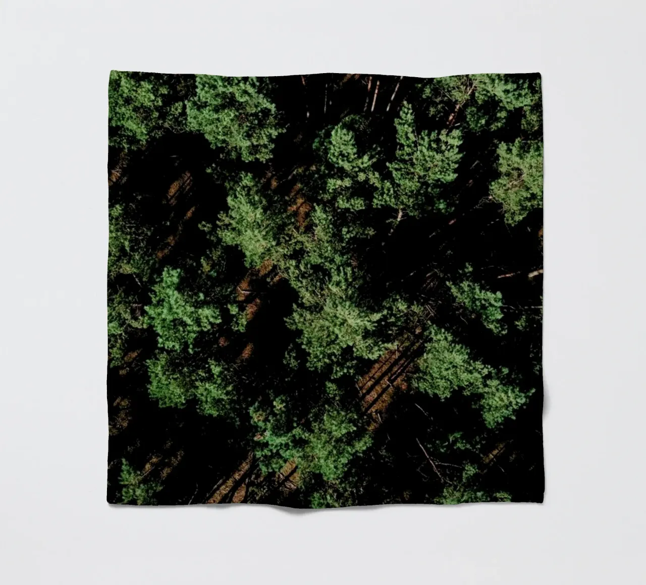 Just A Bunch Of Trees coperta in pile da Sebastian Hilgetag
