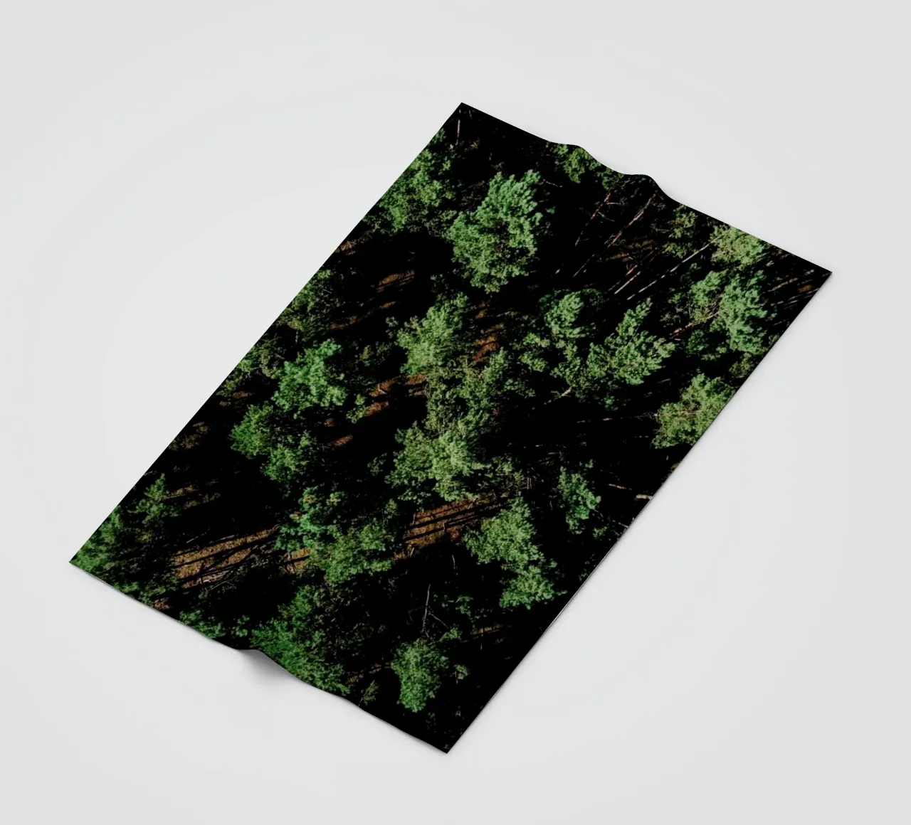 Just A Bunch Of Trees coperta in pile da Sebastian Hilgetag