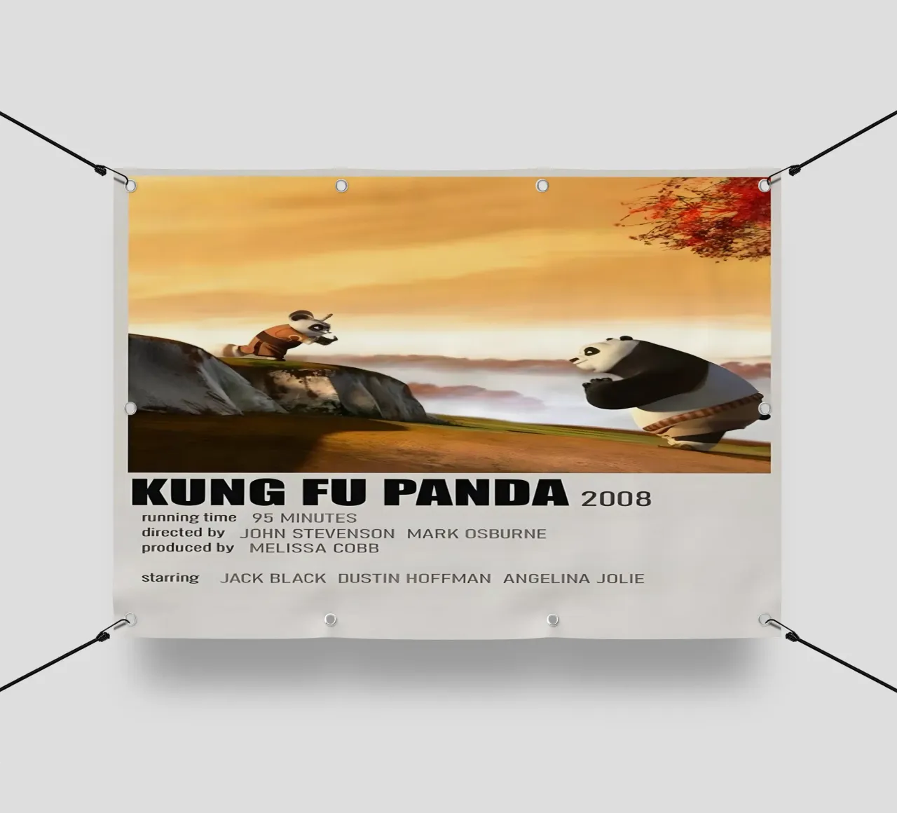 KUNG FU PANDA 2008 telo in pvc da MVFminimalist
