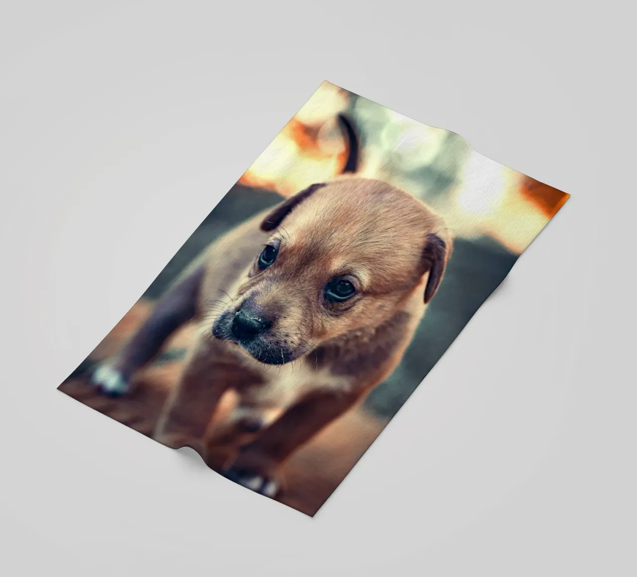 brown fur soft beach towel by animal story home