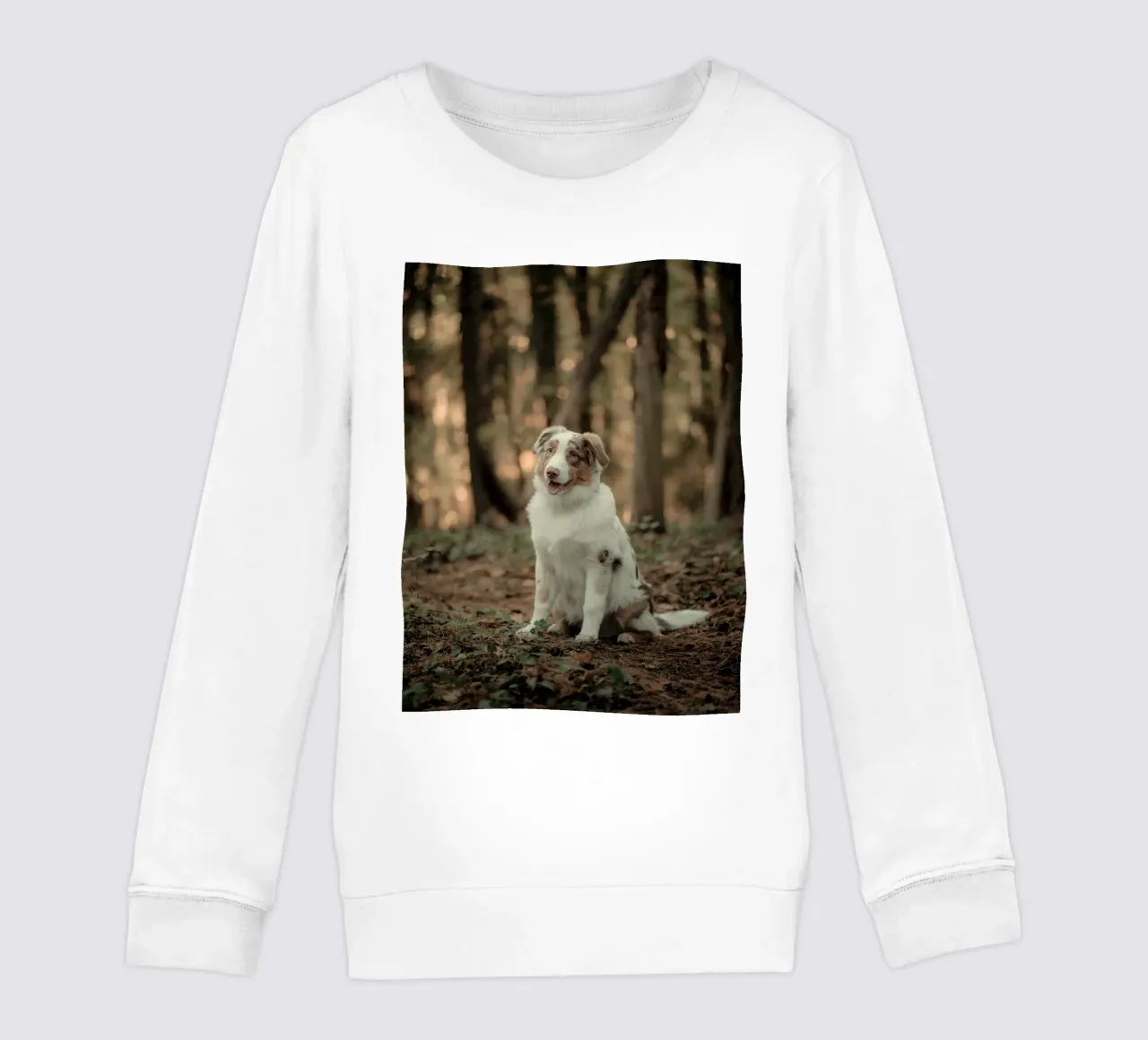cucciolo nella foresta felpa bambino da animal story home