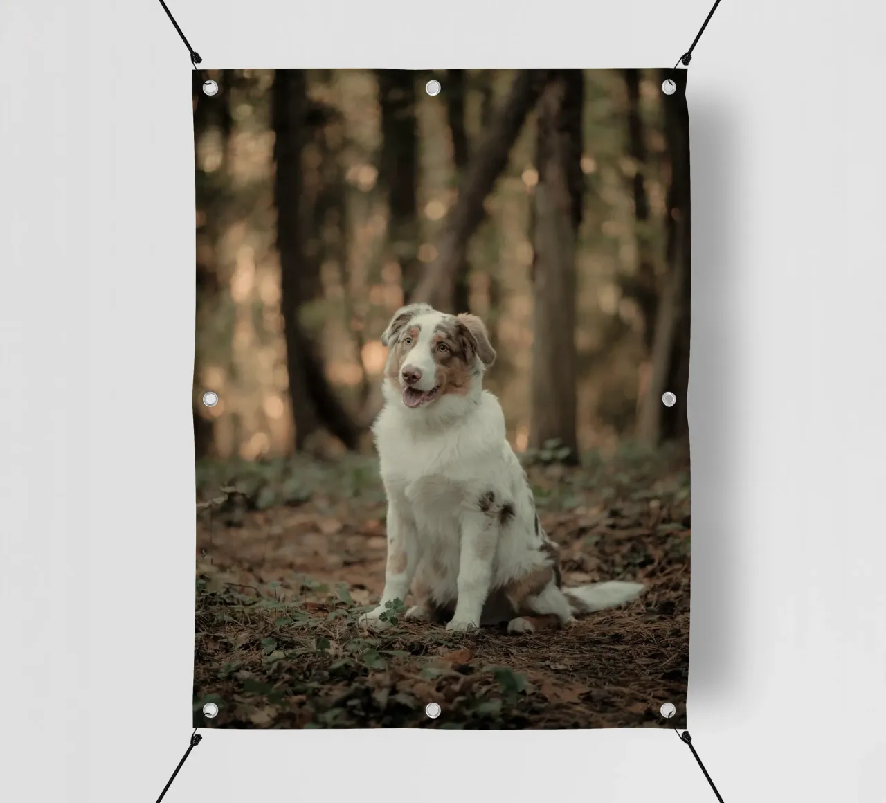 cucciolo nella foresta telo in pvc da animal story home