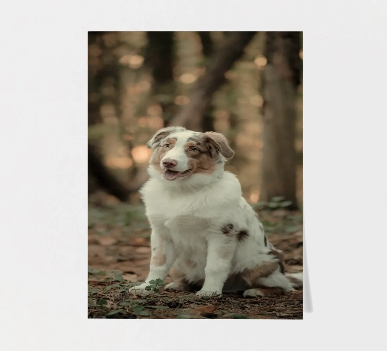 puppy in the forest sticker sheet by animal story home