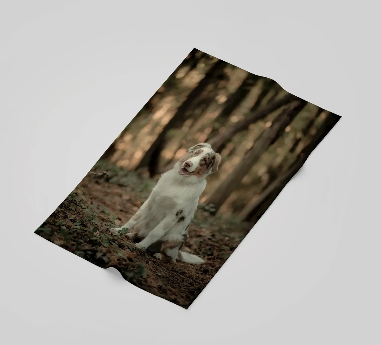 cucciolo nella foresta telo mare da animal story home