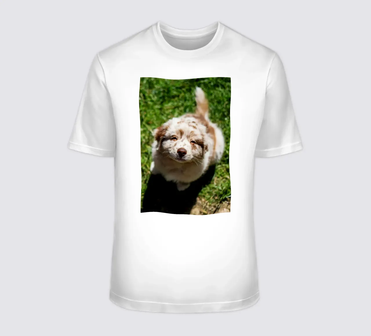 cucciolo che sorride sull'erba t-shirt da animal story home