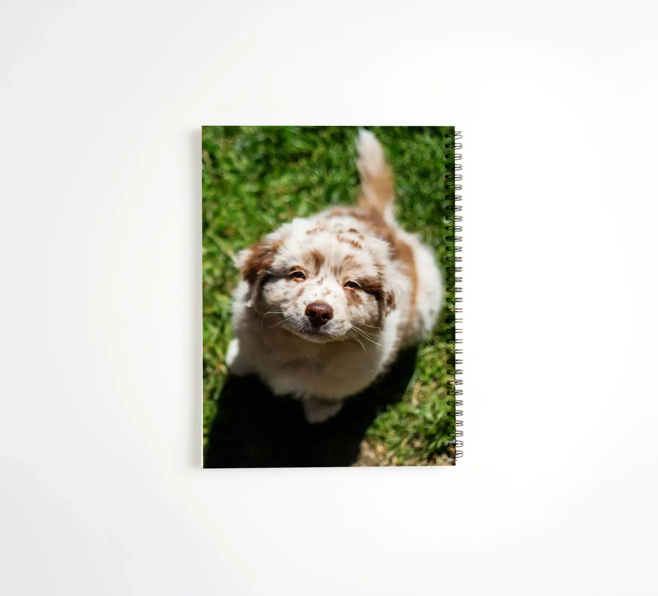 puppy smiling on the grass spiral notebook by animal story home
